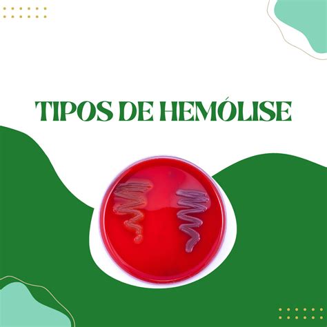 Tipos de hemólise em microbiologia 